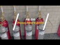 FM-200 Piston Flow Fire Suppression System Overview