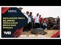 Kehilangan Penyu Belimbing Pengajaran Besar Buat Manusia