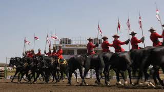 Strathmore Stampede