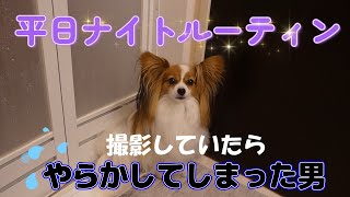 平日のナイトルーティン撮影していたら、やらかしてくれました。【パピヨン】