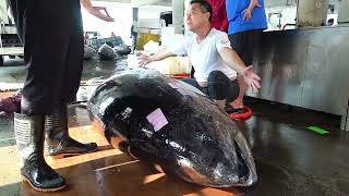 This Is How Giant Bluefin Tuna Is Expertly Cut!