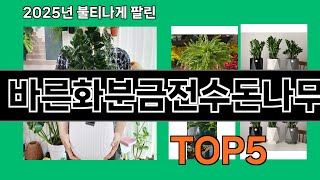 바른화분금전수돈나무 2025 최강 쿠팡 추천 Top 10