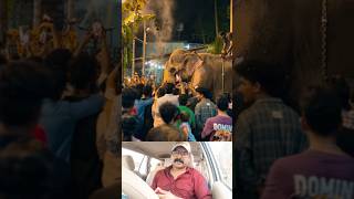 എന്തൊരു ചന്തം കാണാൻ 🥰 #shorts #elephant #viralvideo #viralshorts