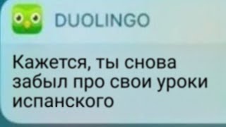 Кажется, ты снова забыл про свои уроки испанского