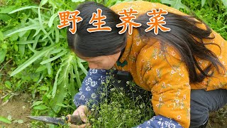 春天悄然而至，挖些野菜回去，做一道荠菜云吞，把春天吃到肚子里