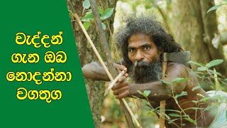 වැද්දන් ගැන ඔබ නොදන්නා වග තුග | Facts about ancient veddas | sri lanka veddo