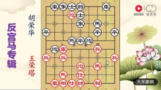 大禾象棋 胡荣华这神来一笔，专业棋手也没看懂