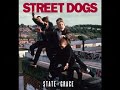 street dogs free