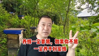 养蜂一定要狠，如果你不狠，一定养不好蜜蜂，来听养蜂师傅怎么说