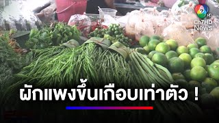 พ่อค้า-แม่ค้า บ่นผักแพง ราคาปรับขึ้นสูงเกือบเท่าตัว | สนามข่าวเสาร์-อาทิตย์