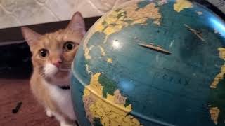 Oskar proves the earth is round