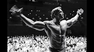Arnold Schwarzenegger Bodybuilding Motivation   No Pain No Gain all-time gym