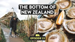 This is THE CATLINS! New Zealand | Reveal NZ Ep. 22