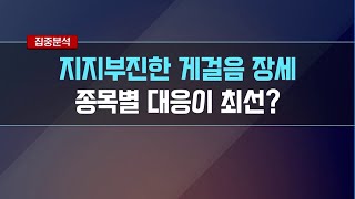 [집중분석] 지지부진한 게걸음 장세 종목별 대응이 최선? - 황세운 / 머니투데이방송 (증시, 증권)