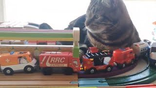 CAT vs Train Fire Truck Police Car Ambulance rescue Brio Trains Toy Wooden Railway Vehicles for Kids