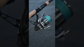 A showdown of performance: Stella vs. this fishing reel! We'll compare their features one by one