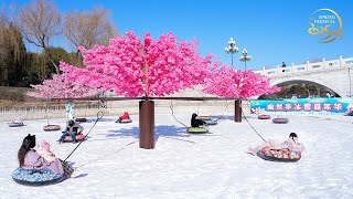 Live: Enjoy ice and snow carnival at Beijing's Taoranting Park – Ep. 3