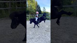 Fails❤️ Made it out alive💥 #shorts #horse #trending