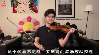 【Violin Lesson 16】小提琴课程16  | 小提琴换弦那点小事儿，很快就能练好！