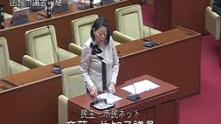 函館市議会　平成３１年第１回定例会　一般質問（民主・市民ネット／斉藤佐知子）