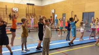 Dansles groep 3 - de Stappen