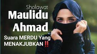 AUTO BIKIN TENANG‼️ Maulidu Ahmad - Full 1 Jam - RELAKSASI - Santri Tujuh