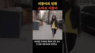 시각장애인 스마트 지팡이 - Smart Cane