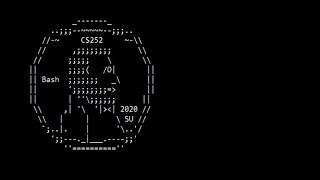CS252 Bash Explanation (Summer 2020)