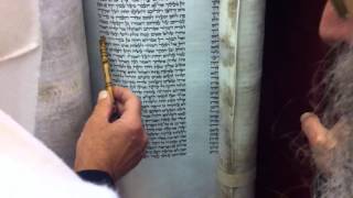 פרשת וירא קריאה בספר התורה בכותל המערבי western wall Sefer Torah