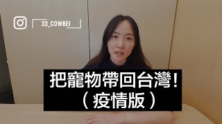 2021把寵物帶回台灣｜寵物入境須知｜疫情期間帶貓咪出國｜胖莉與她的人類｜Fatli and her hooman