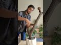 convert your tree branch into this decor piece shorts diy coconutshell