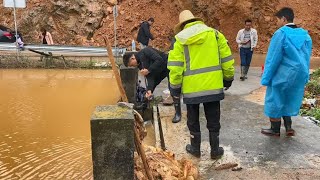 暴雨过后，爷爷家的鱼塘冲出10000只鱼，引来好多村民抓鱼