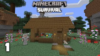 Minecraft: A New World - Survival Let's play | Ep 1