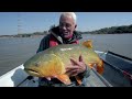 Catching the Golden Dorado: A Huge Catch in South America! | River Monsters