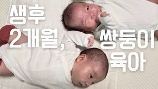 쌍둥이 생후 두 달간, 열심히 먹였더니 놀라운 변화들(생후63일차) | 육아브이로그