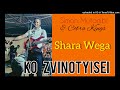 Simon Mutambi - Shara Wega (Ko Zvinotyisei album) 2009 pro