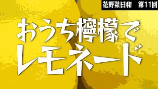 第11回【レモン】おうち檸檬でレモネード