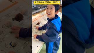 【超神業シリーズ】「世界のめん羊館」を見学したハイライト動画🐏 北海道士別市✨ #shorts #ninjya #羊と雲の丘 #士別市 #北海道 #トレーシー #スティーブ #世界のめん羊館