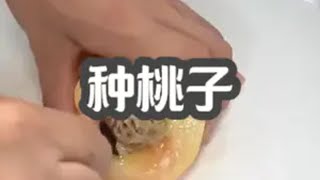 超市里桃子的核能种出桃子吗?花了4年时间记录了全过程 种植 桃子 种果树 桃树