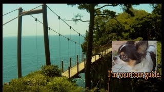 Izu-05   Kadowaki Suspension Bridge on Jogasaki coast