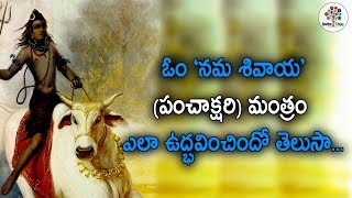 శివ పంచాక్షరీ మంత్ర జపం ఎందుకు, ఎలా చేయాలి! | Lord Shiva Panchakshari Mantram | Devotional Tree