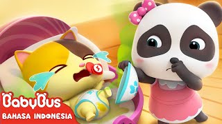 Bayi Kucing Super Lucu \u0026 Imut 🍼| Lagu Anak \u0026 Kartun Anak | Merawat bayi | BabyBus Bahasa Indonesia