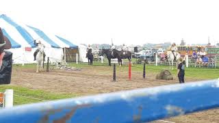 Jousting at the IPM2017