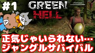 恐怖の兄妹ジャングルサバイバル開始！まずはチュートリアル！ Green Hell をプレイ！ #1