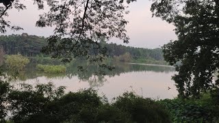 @Mandagadde Bird Santuary ಮಂಡಗದ್ದೆ ಪಕ್ಷಿಧಾಮದಲ್ಲೊಂದು ಸುತ್ತು ನವೆಂಬರ್ ತಿಂಗಳಿನ ಸೌಂದರ್ಯ