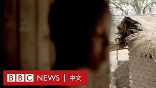 童婚新娘：「12歲時我被以9美元賣掉」－ BBC News 中文