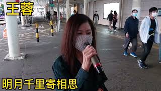 #冧歌女神pauline王蓉🌻 音樂分享🎼🎵🎶🎤#明月千里寄相思