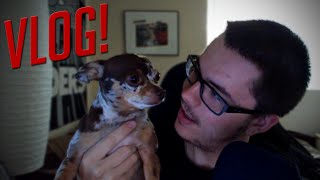 Buggs AFK (Away From Keyboard) - Vlog #14