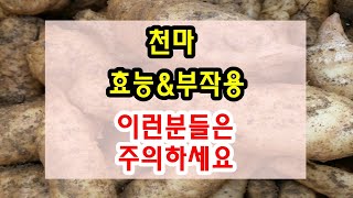 천마 효능과 부작용 잘 알고 드셔야해요~