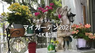 ﾏｲｶﾞｰﾃﾞﾝ2021 4K動画　2021年3月27日②　ｱｺｰｽﾃｨｯｸｷﾞﾀｰに乗って花の供宴！